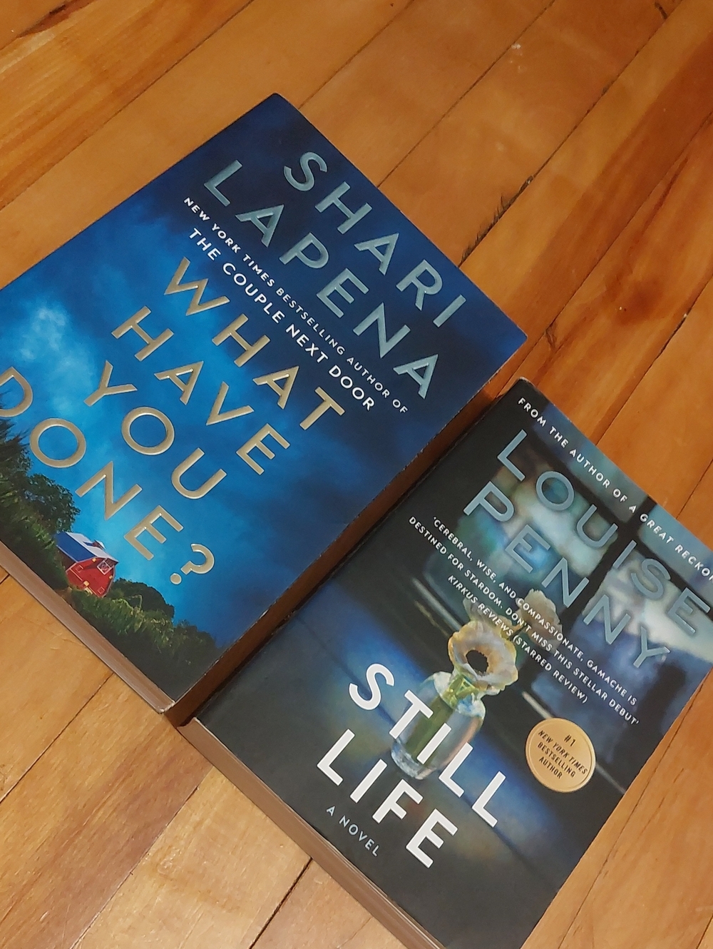 Thriller & Mystery Novel Lot (Louise Penny & Shari Lapena